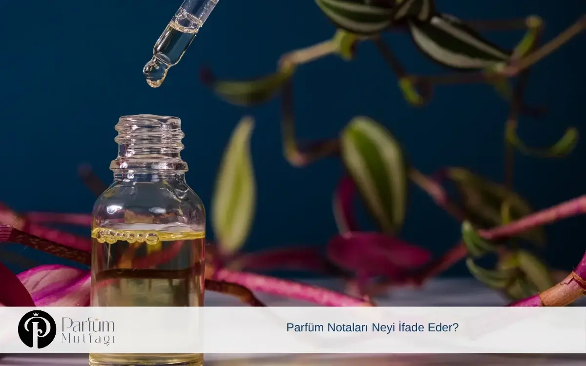 Parfüm Notaları Neyi İfade Eder?