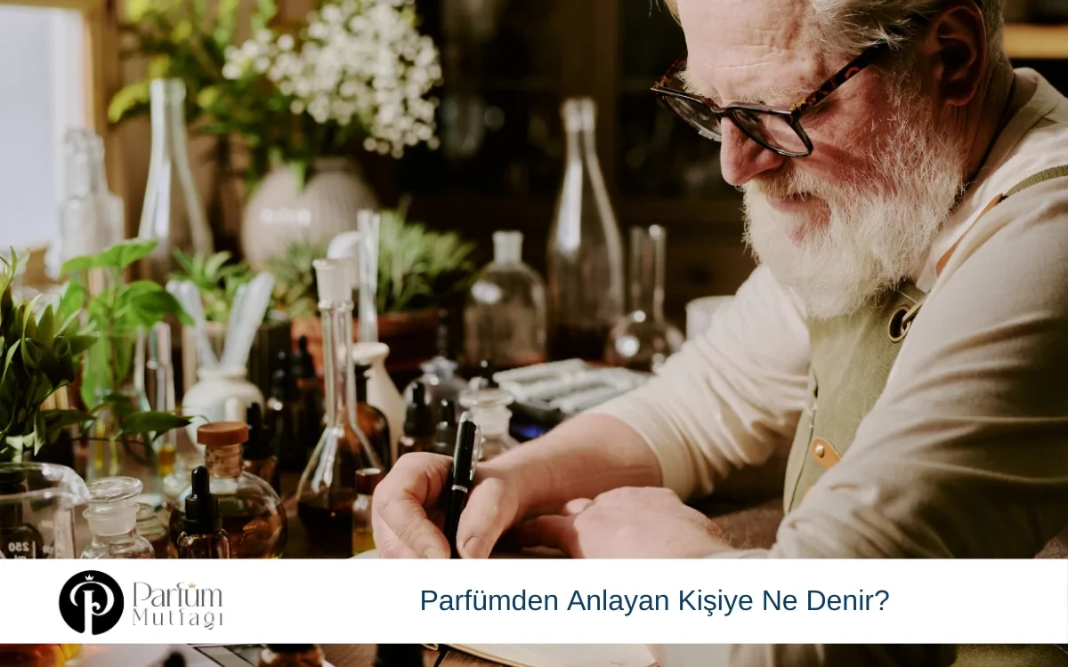 Parfümden Anlayan Kişiye Ne Denir?