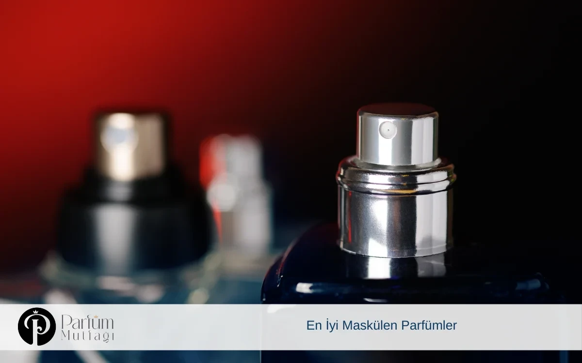 En İyi Maskülen Parfümler