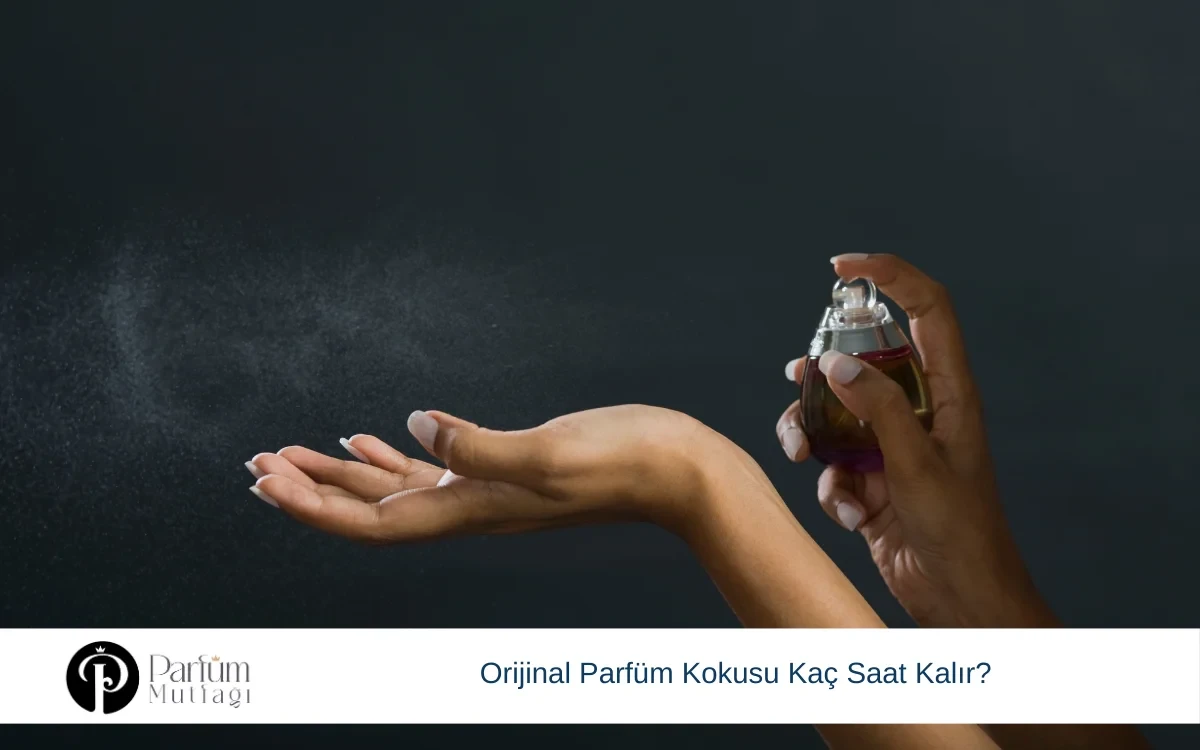 Orijinal Parfümlerin Kokusu Kaç Saat Kalmaktadır?