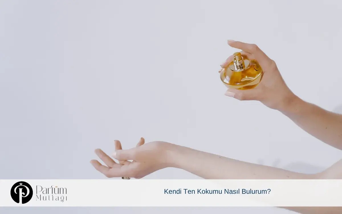 Kendi Ten Kokumu Nasıl Bulurum?