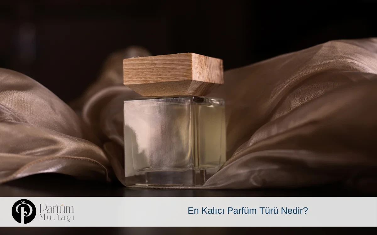 En Kalıcı Parfüm Türü Nedir?