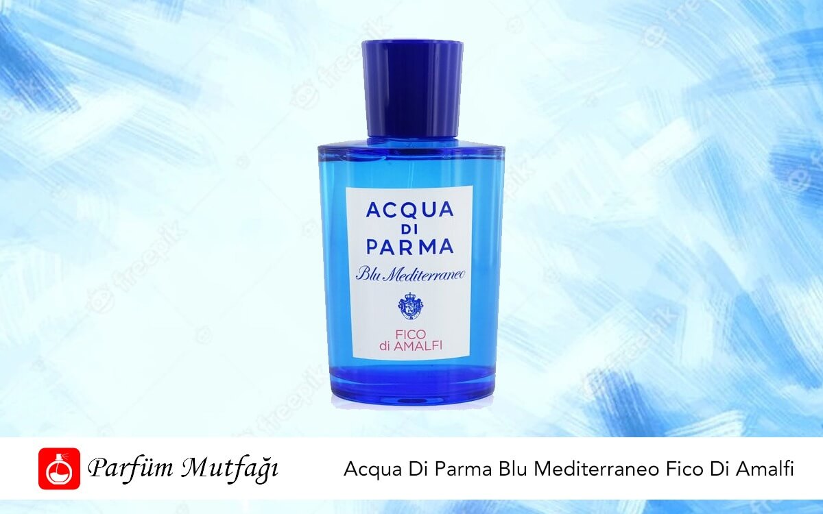 Acqua Di Parma Blu Mediterraneo Fico Di Amalfi Koku İncelemesi