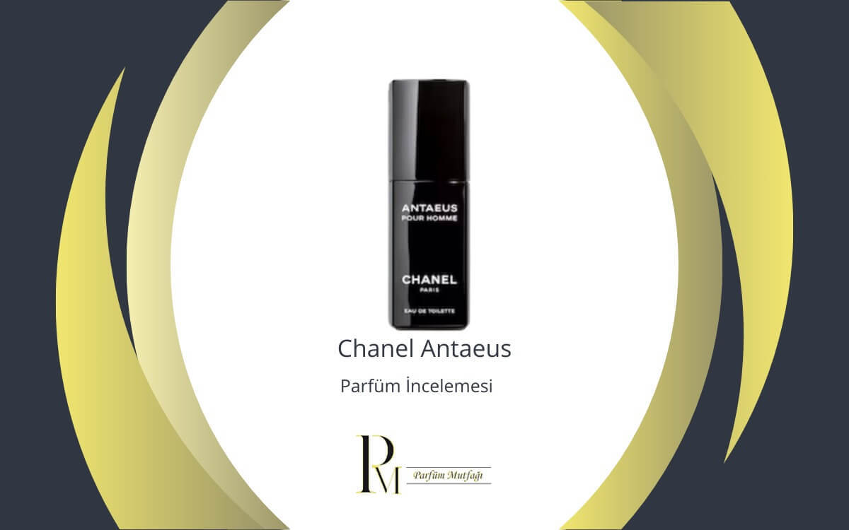 Chanel Antaeus Parfüm İncelemesi