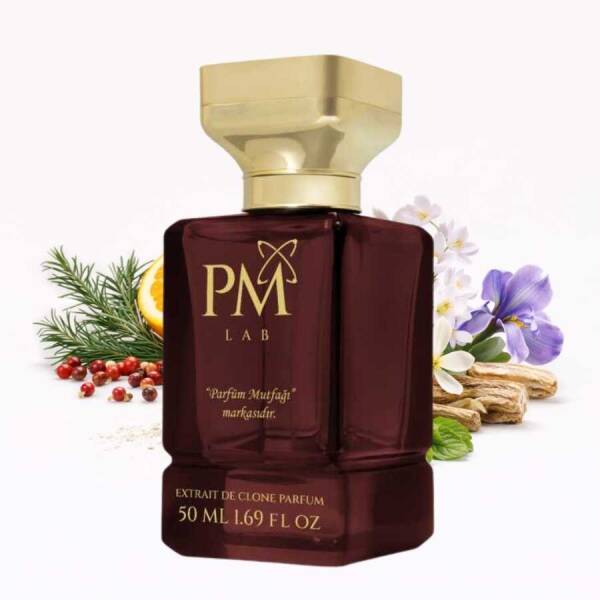 E-206 Reflection Man - 1