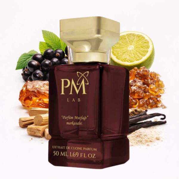 E-208 IL Padrino - 1