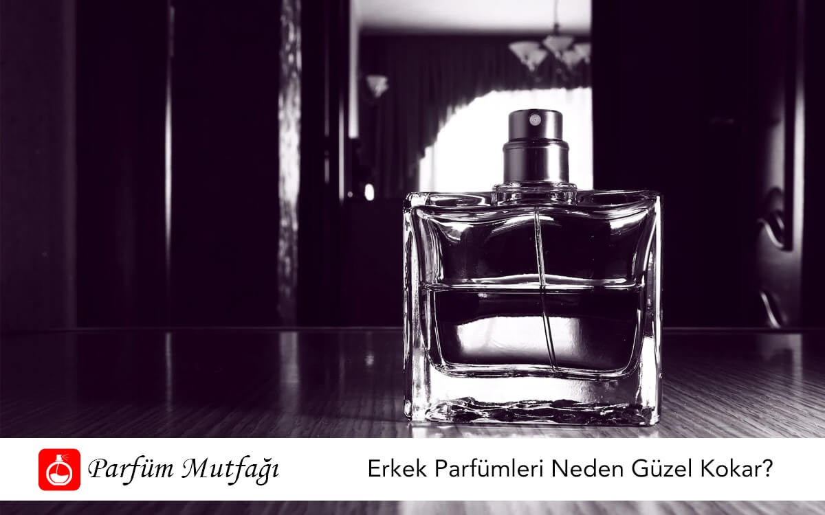 Erkek Parfümleri Neden Güzel Kokar?