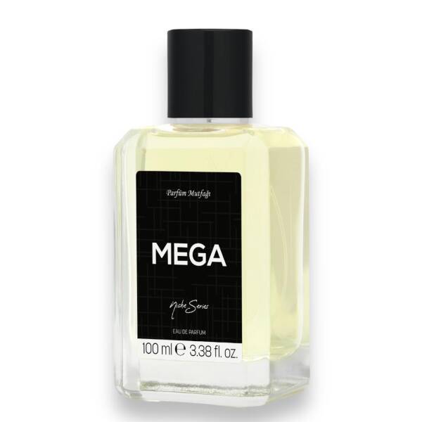 Mega Erkek Parfüm 100ml - 2