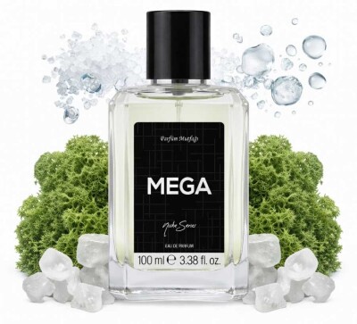 Mega Erkek Parfüm 100ml - 5