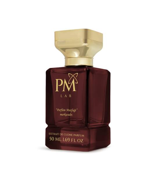 P&M Lab Series - 1